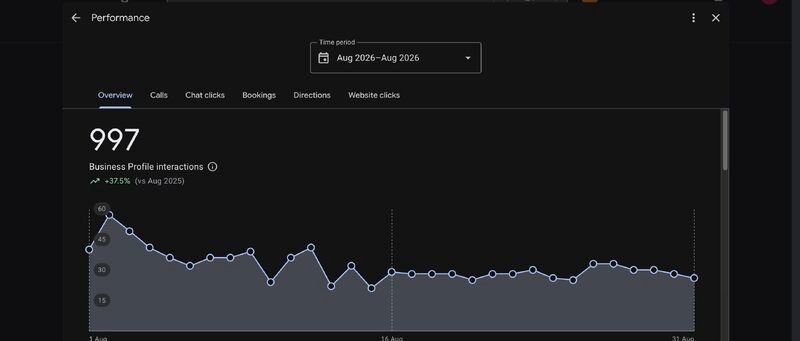 After screenshot of pest control company Google Business Profile performance