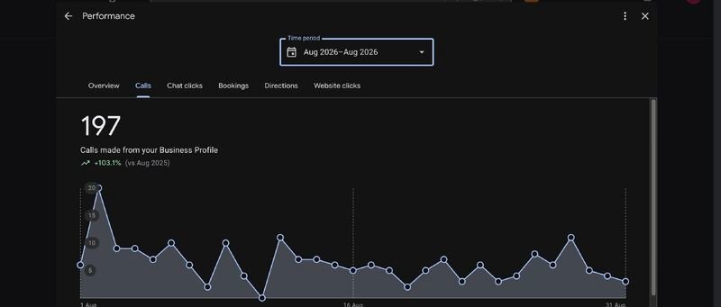 Before screenshot of pest control company Google Business Profile performance